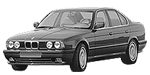 BMW E34 P0AEE Fault Code